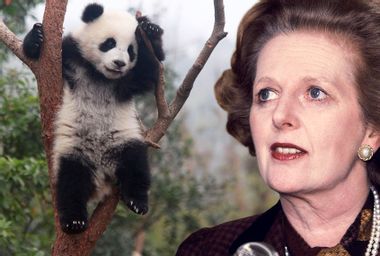 Margaret Thatcher; Panda