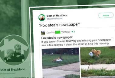Nextdoor Tweets