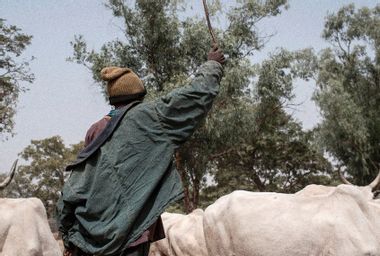 Fulani Herder