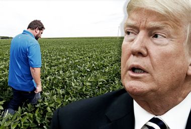 Soybean Farmer; Donald Trump
