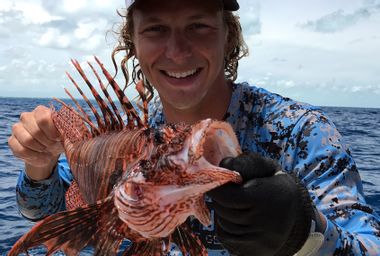 Image for Florida’s answer to invasive lionfish? If you can’t beat ‘em, eat ‘em