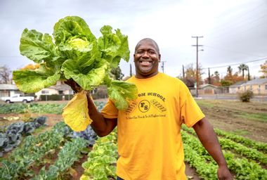 Image for Fresno’s Freedom School is changing the narrative on farming for black youth
