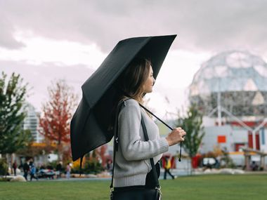 Image for Brave the harshest storms with this umbrella