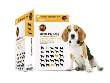 Image for Test your dog's DNA with this kit that's 25% off