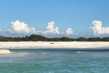 Image for We fell for the beachy old Florida charms of Sanibel, Captiva, and the Barrier Islands