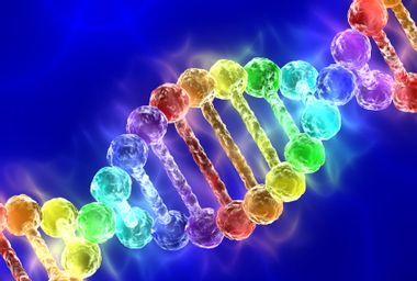 DNA Strand