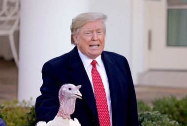 Donald Trump; Turkey Pardon; Thanksgiving