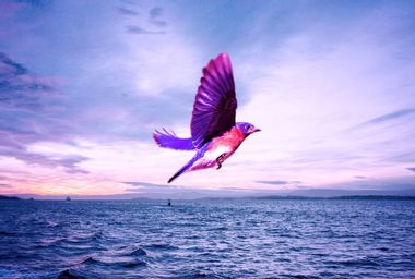 A small bird flying across the ocean