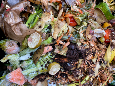 compost
