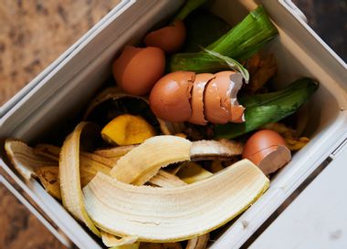 Image for Thinking about composting? This is your ultimate guide