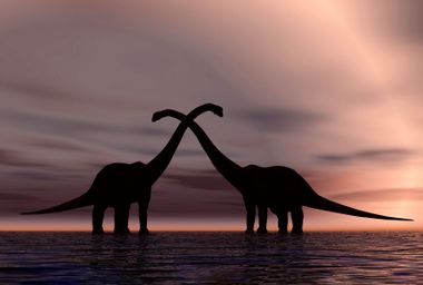 The silhouetted forms of a pair of courting sauropod dinosaurs