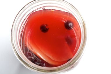 scoby