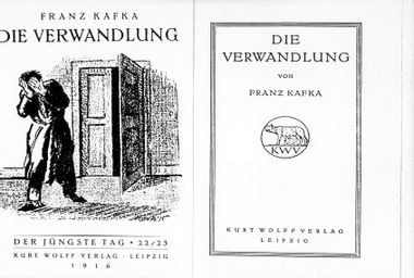 "The Metamorphosis" novel or "Die Verwandlung" in German by Franz Kafka