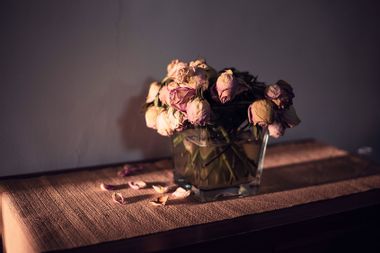 Dry Roses In Vase On Table