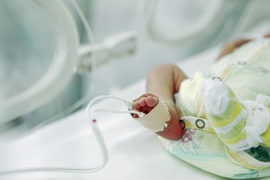 Newborn Baby In Incubator