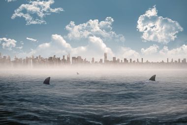 Cityscape on horizon over shark infested sea