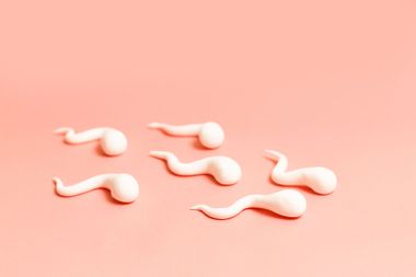 Sperm