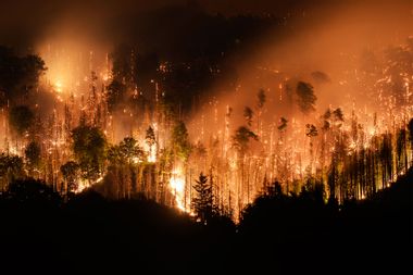 forest fire in the Czech National Park Bohemian Switzerland in Hrensko