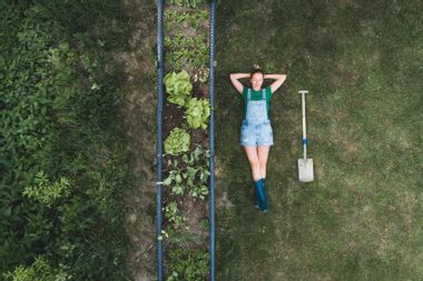 Aerial view of woman lying by raised bed on land in yard