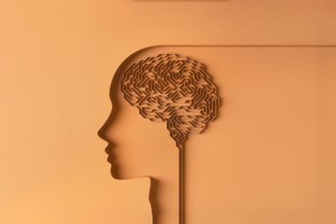 Human brain, conceptual illustration