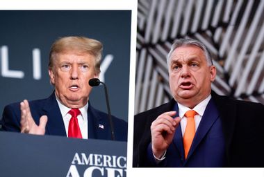 Donald Trump; Viktor Orban