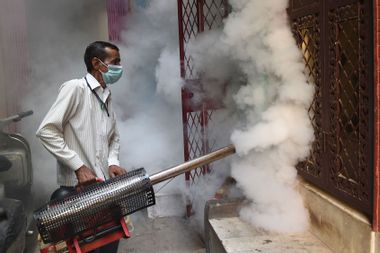 Mosquito Fumigating; New Delhi