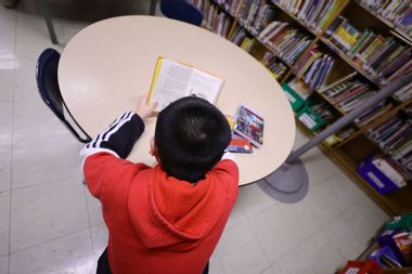 A student in the library reads a book