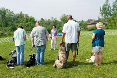 Instructor giving direction to a line of owners with their dogs during a dog training class