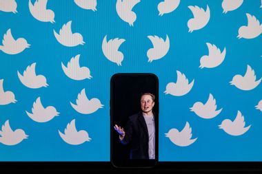 A cellphone displaying a photo of Elon Musk placed on a computer monitor filled with Twitter logos