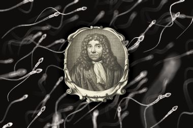 Antonie van Leeuwenhoek; Sperm under a microscope