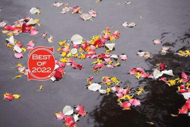 Rose Petal Floating in water for Scattered Ashes Funeral Ceremony