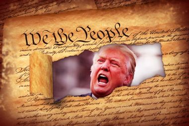 Donald Trump; US Constitution