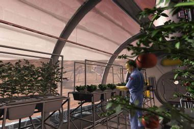 An artist's concept depicts a greenhouse on the surface of Mars.