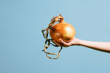 Hand holding a giant onion