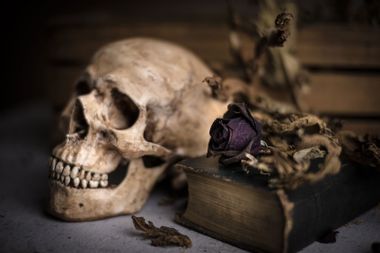 Skull near old book with dry rose