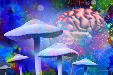 Mushrooms And Mental Health