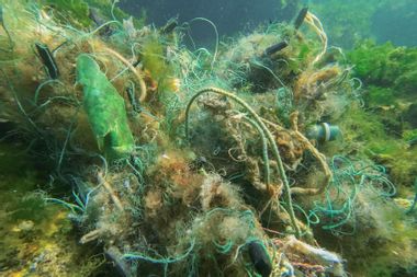 Lost fishing gear lies underwater on the seabed
