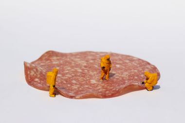 Small scientists examining salami