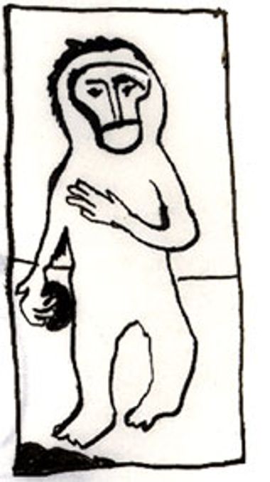 Life Article