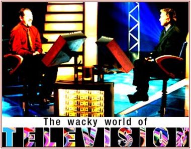 Image for The wacky world of television