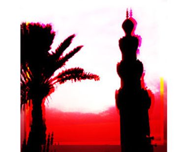 Image for The baksheesh diaries