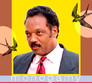 Image for The myth of monogamy