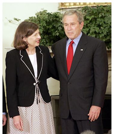 Image for Bush the despot