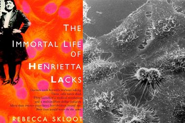 Image for Tennessee mom wants “pornographic” Henrietta Lacks book banned from schools