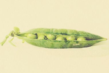 Life Article
