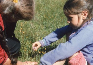 Image for Scavenger: How my grandmother taught me to eat weeds