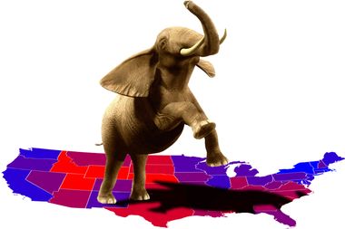 Politics Article