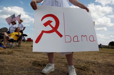 Politics Article