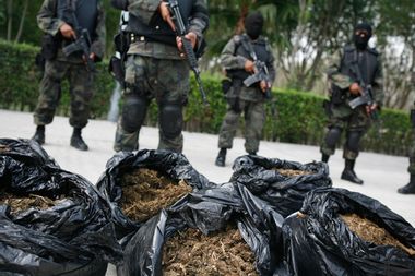 Image for How the drug war hurts everyone