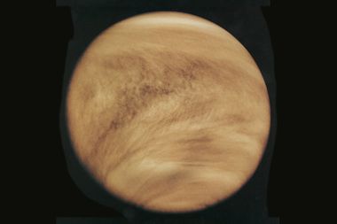 Image for Venus may be the only other planet with active volcanoes